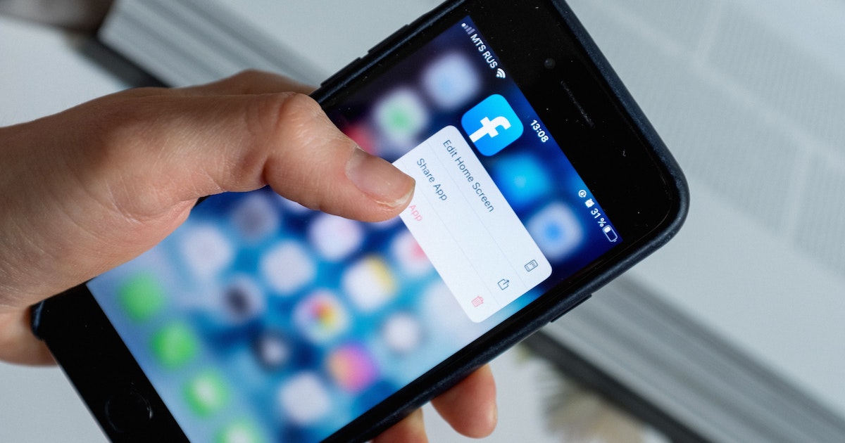 Có nên mua chó Poodle Online không?